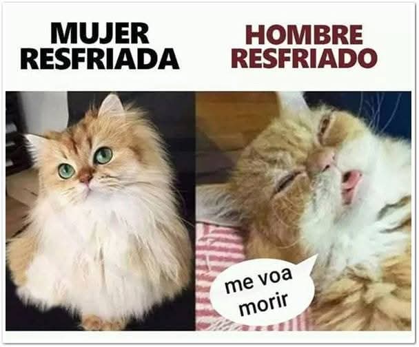 @manuelbobradorista tweet media