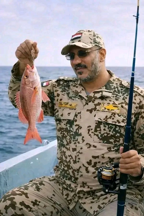 فكري عبدالسلام السلامي tweet media