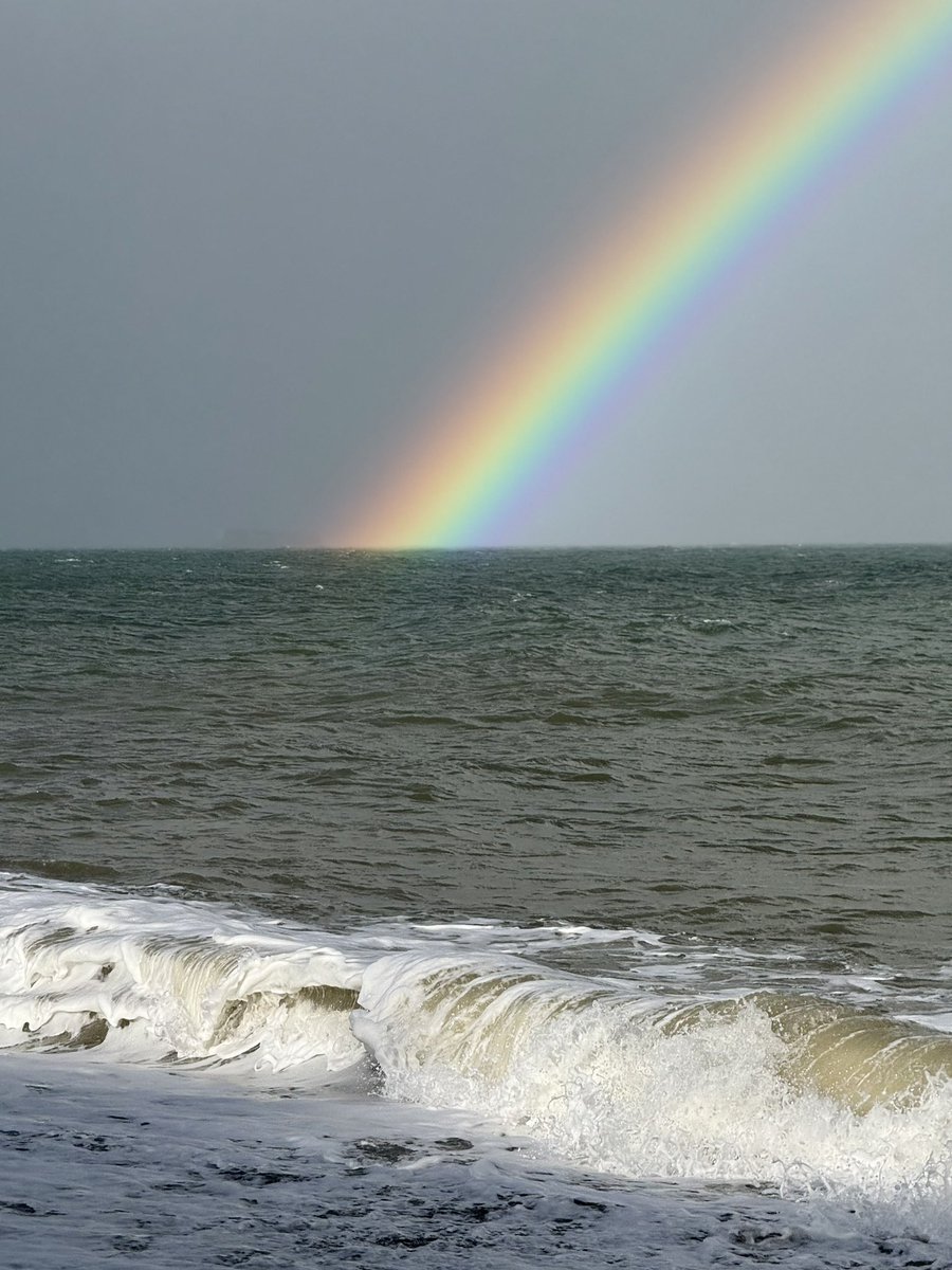 Marc (with a Sea) Diamond tweet media