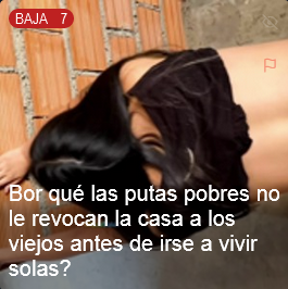 Voxed Posting tweet media