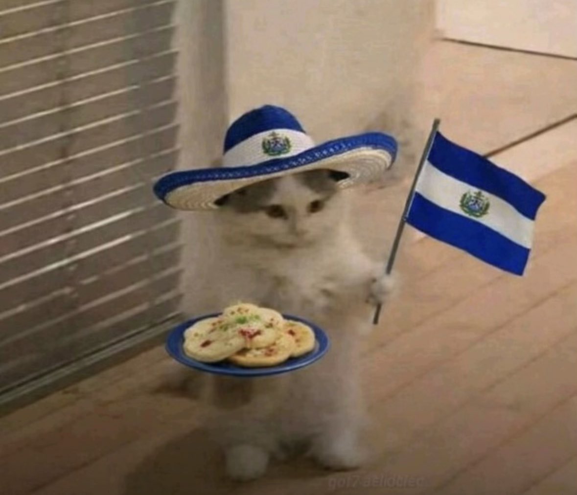 Alejandro Jiménez tweet media