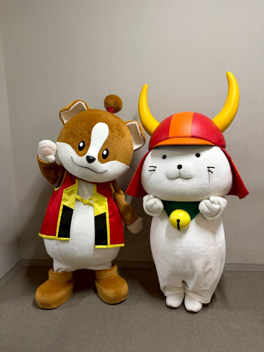 わん丸君 tweet media