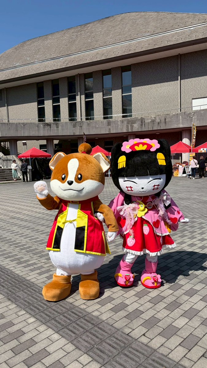 わん丸君 tweet media