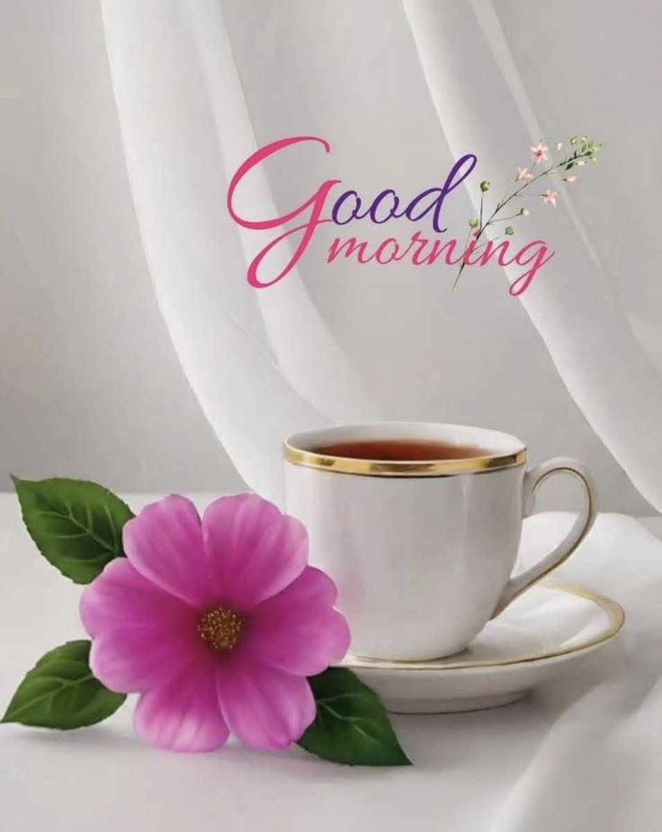 Zafar Malik tweet media