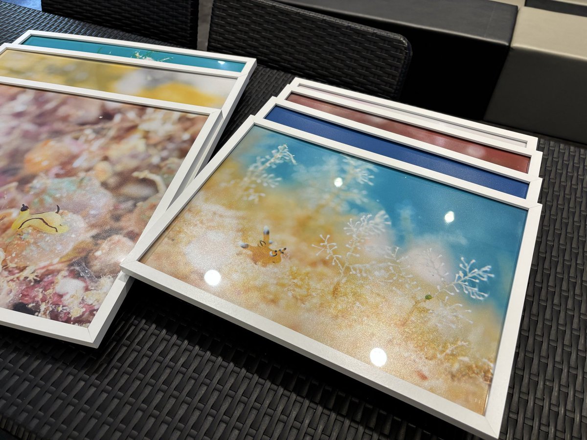 orca.creation tweet media