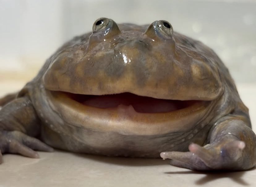 Ehhg 🏳️‍⚧️ tweet media