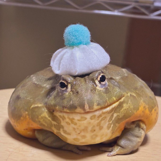 Ehhg 🏳️‍⚧️ tweet media