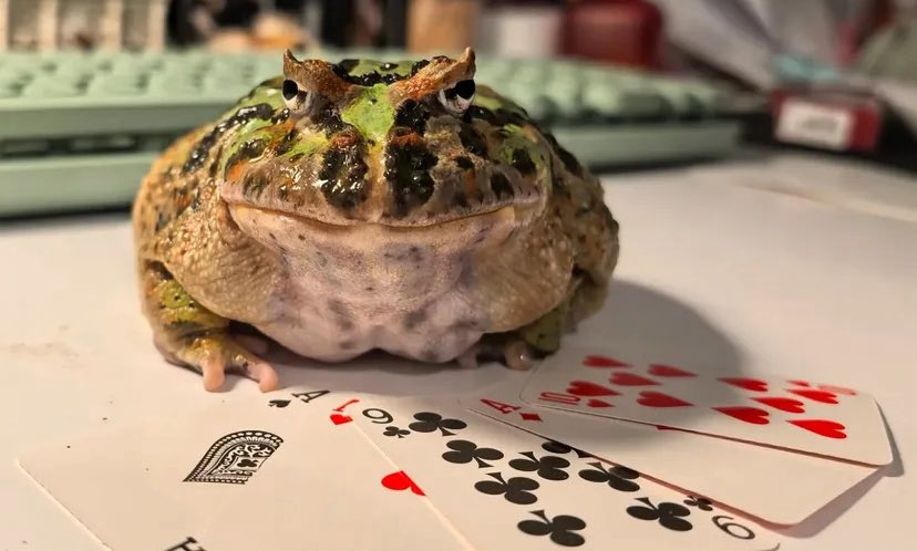 Ehhg 🏳️‍⚧️ tweet media