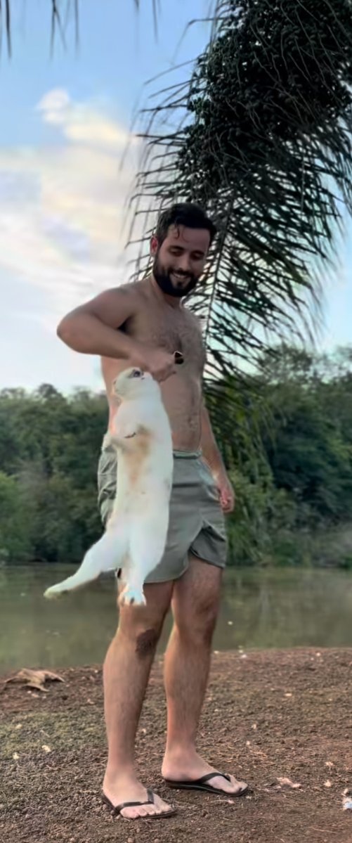 Arielson tweet media