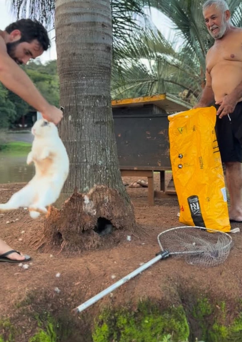 Arielson tweet media