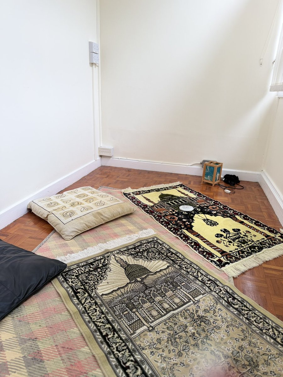 حفيدة التاريخ الغزاوية 𓂆 🇮🇪🇵🇸 tweet media