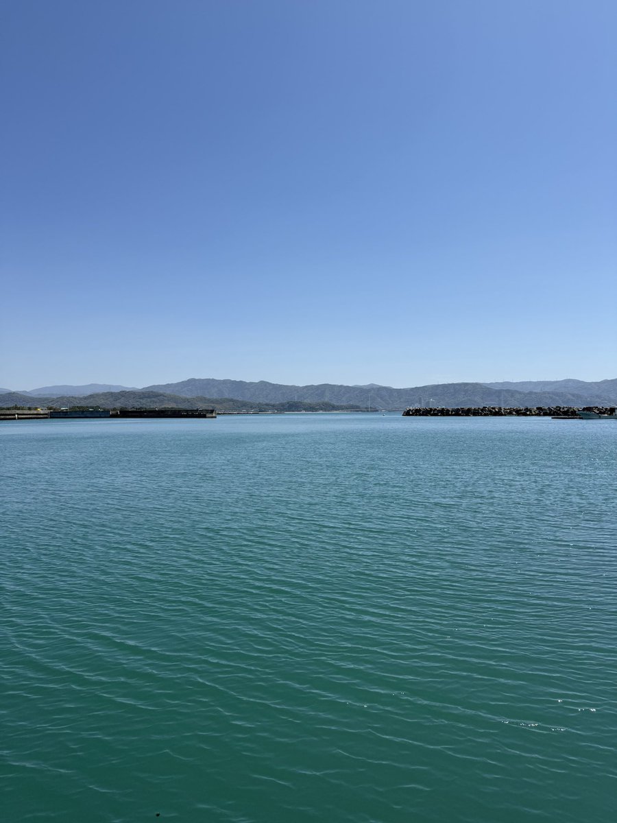 たまちゃん💛 tweet media