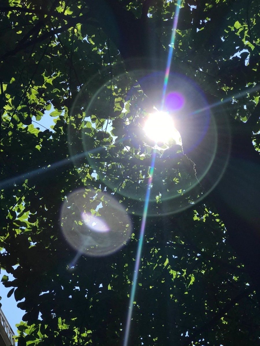 Rudy Sullivan tweet media