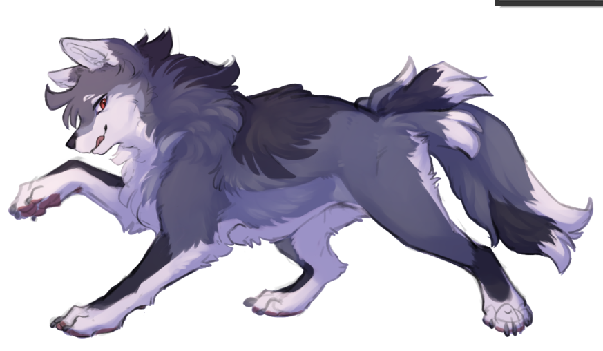 🔰陰狐-ingi-🐾@関けもF-46 tweet media