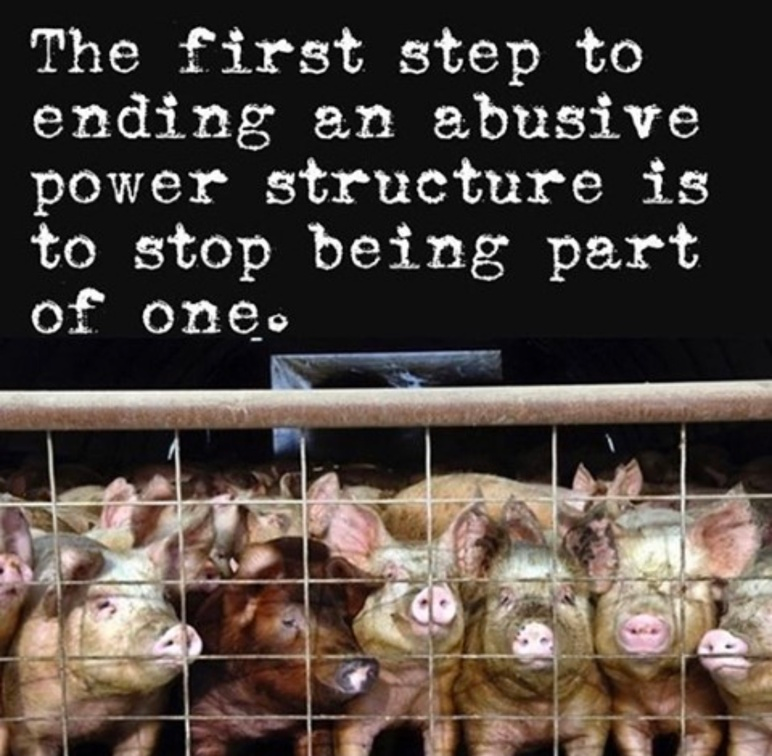 Vegan Future tweet media