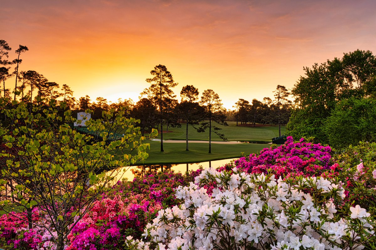 The Masters tweet media