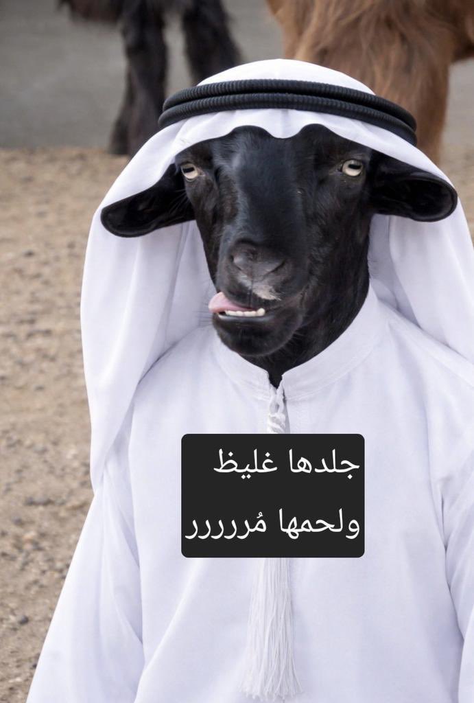 Better Call Me⚖️ tweet media