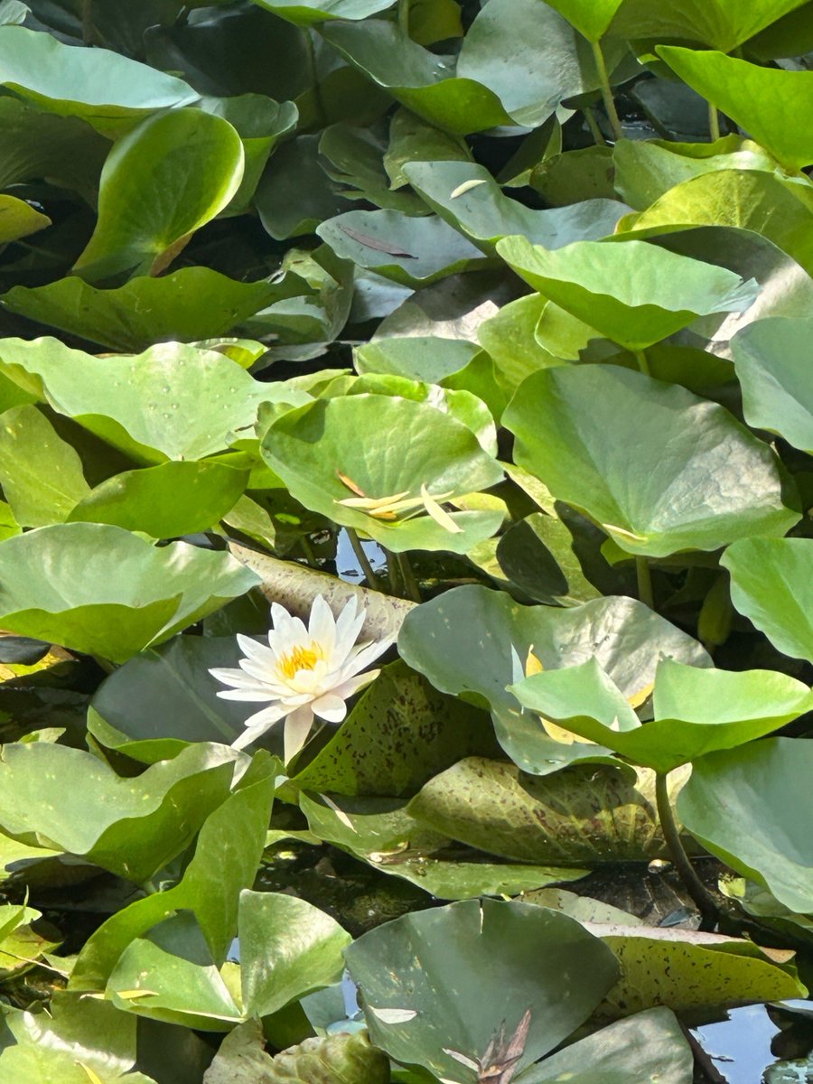 Sanket Jagtap tweet media