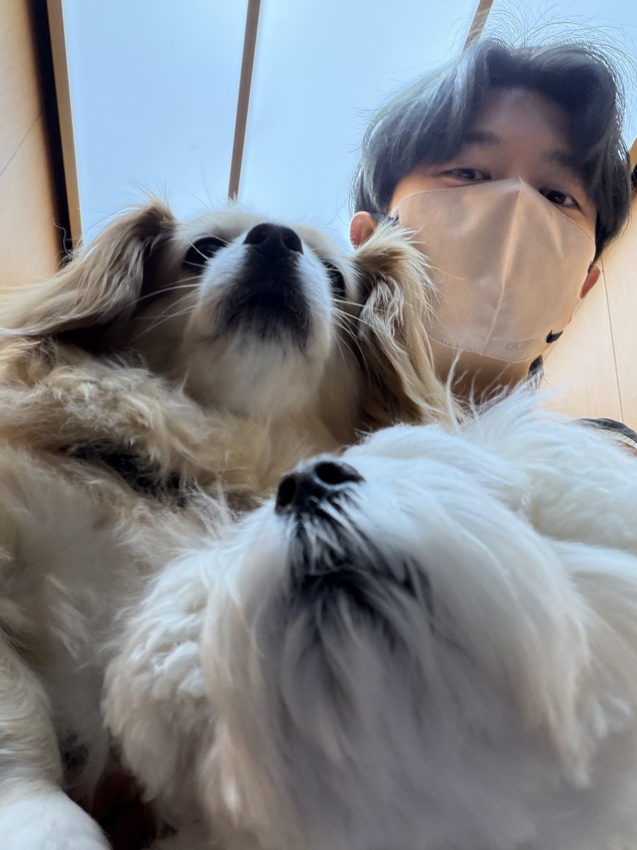 オダケン tweet media