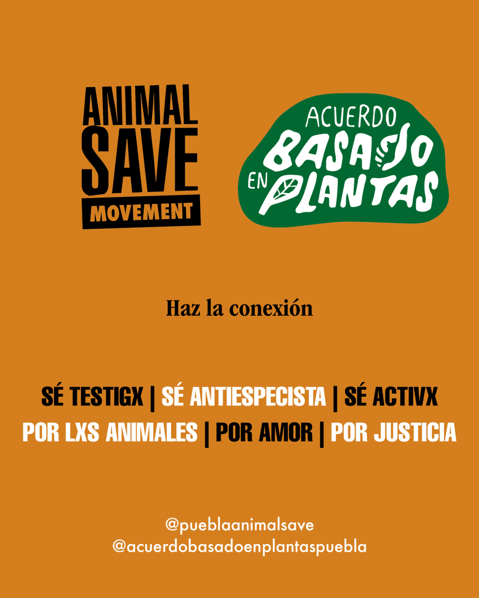 AnimalSavePUE's tweet photo. ¡Únete a nuestras acciones de abril! 🧡💚

Puedes mandarnos MD para cualquier detalle. (:

#Activismo #LiberaciónAnimal #DíaDeLaTierra #Antiespecismo #PueblaVegana #HazteVegan #Veganismo https://t.co/ICpIpxvigb