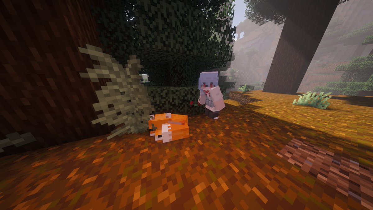 magical kitty 𓆩♱𓆪🇺🇦 tweet media