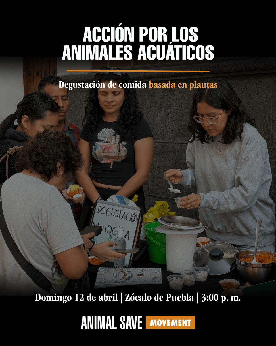 abppuebla's tweet photo. ¡Únete a nuestras acciones de abril! 🧡💚

Puedes mandarnos MD para cualquier detalle. (:

#Activismo #LiberaciónAnimal #DíaDeLaTierra #Antiespecismo #PueblaVegana #HazteVegan #Veganismo https://t.co/D3PKKF4rC4