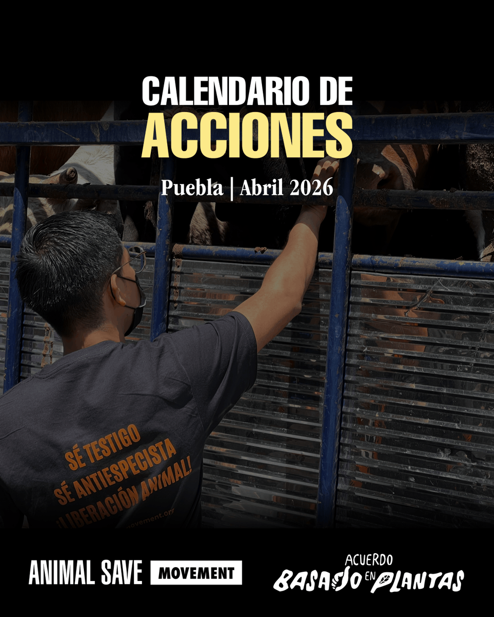 abppuebla's tweet photo. ¡Únete a nuestras acciones de abril! 🧡💚

Puedes mandarnos MD para cualquier detalle. (:

#Activismo #LiberaciónAnimal #DíaDeLaTierra #Antiespecismo #PueblaVegana #HazteVegan #Veganismo https://t.co/D3PKKF4rC4