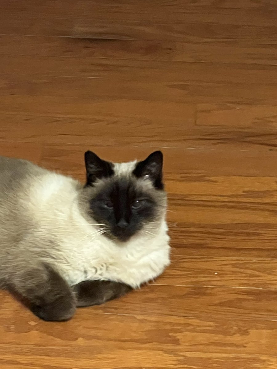 Becky Chambers tweet media