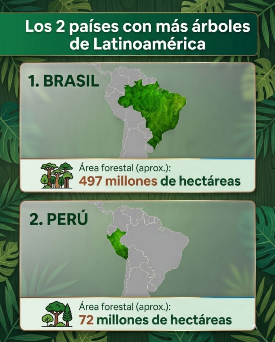 Ediciones Región. tweet media