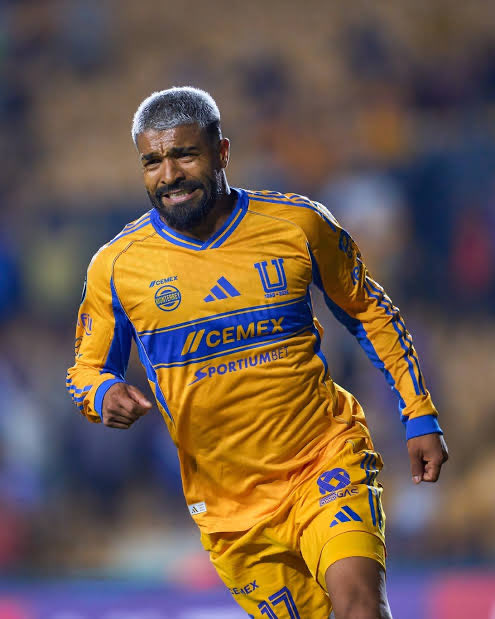 gilbertossj tweet media