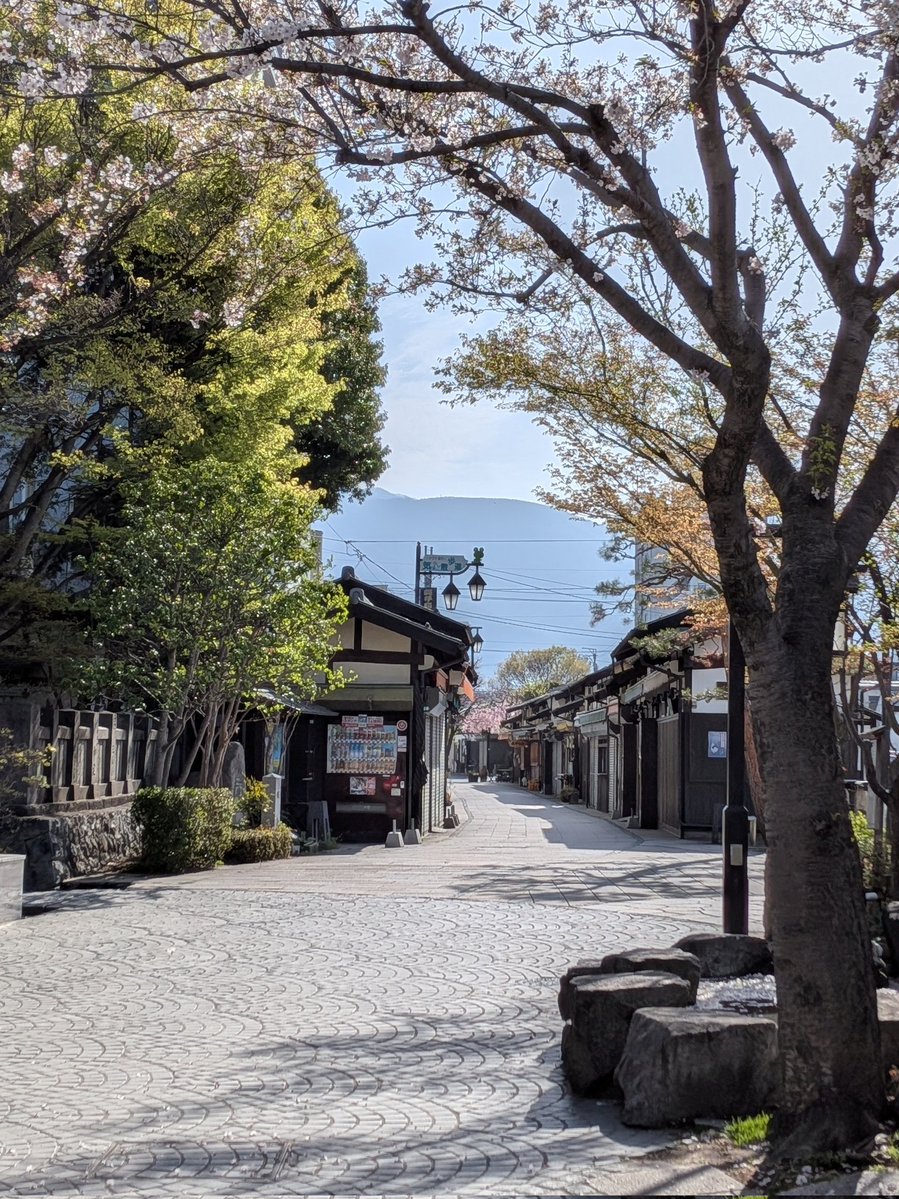 Sho_taro tweet media