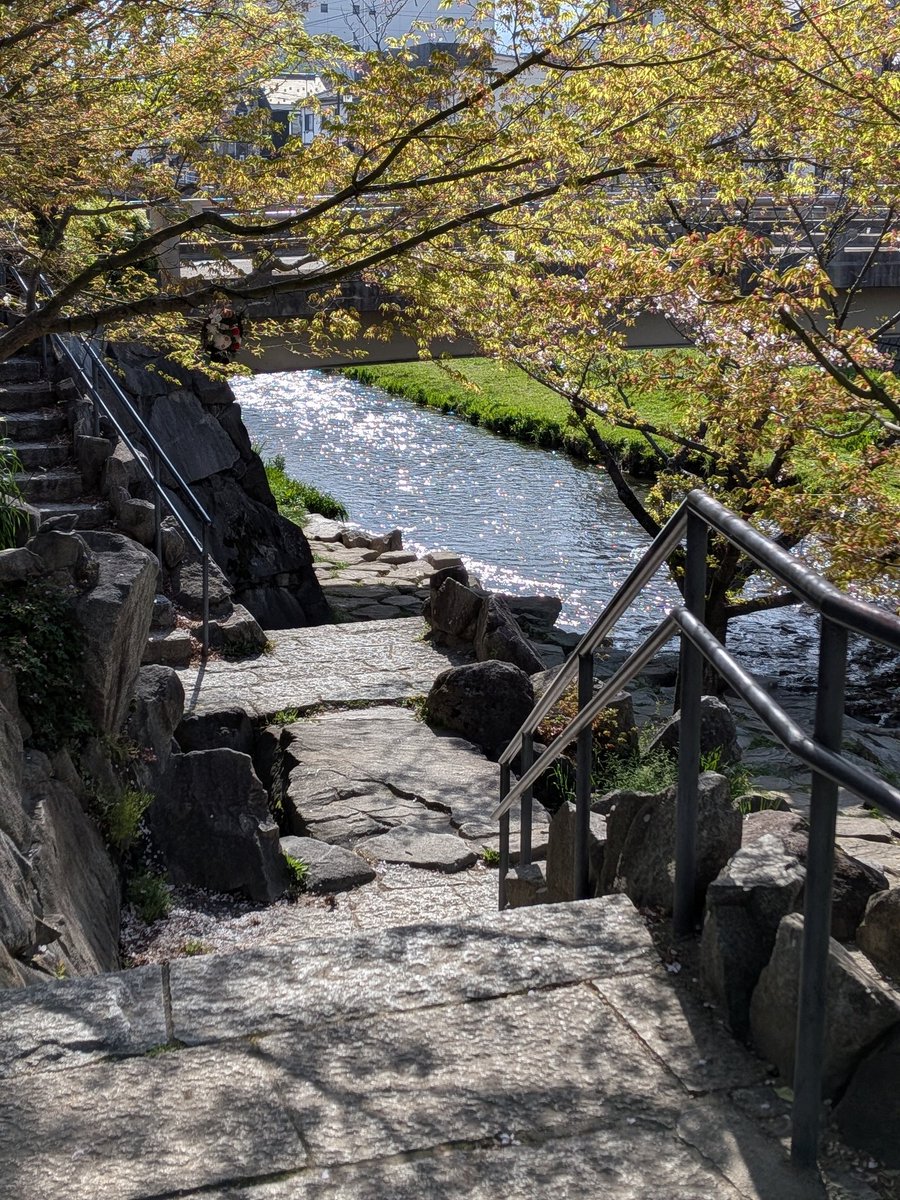 Sho_taro tweet media