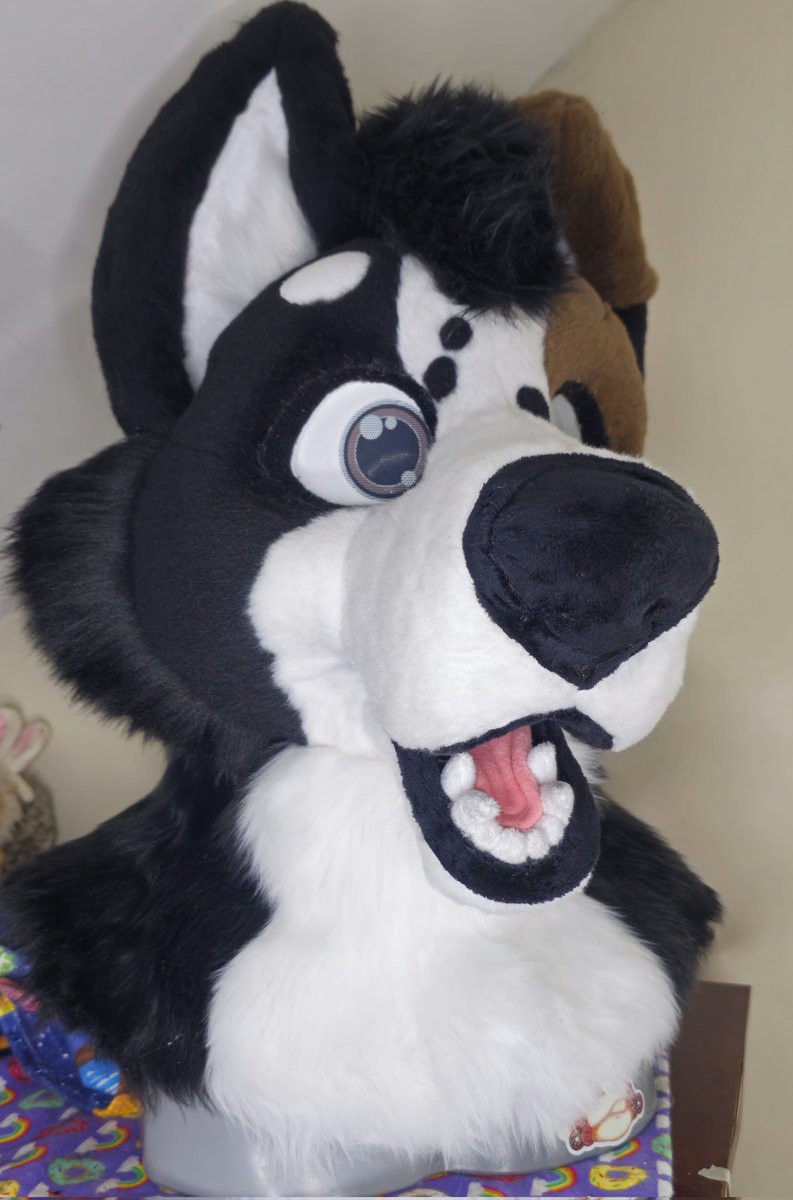 DonutWorkStudio's tweet photo. Congratulations to Sparky! ⚡️🥳

I'm very happy to announce a new member to the Funki Family. I think I'm getting better :3 

#fursuitmaker #fursuit 
@deathtosparky https://t.co/BSp1Lc3zvm