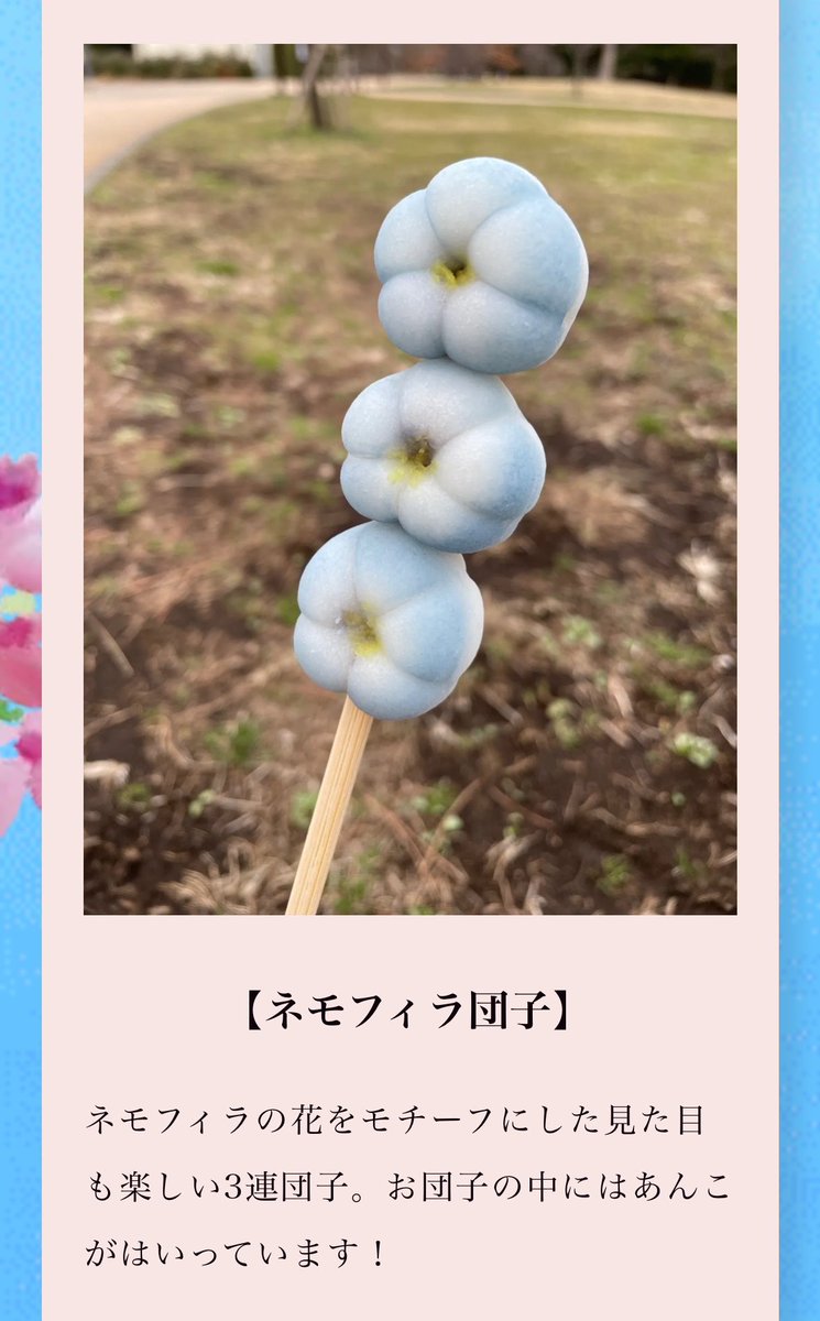 マユリ様＠酔っ払いポンコツ再開しました🏁🏇💛💙💛💙💛 tweet media