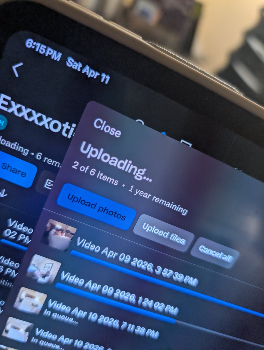 Flight Attendant Fiona tweet media