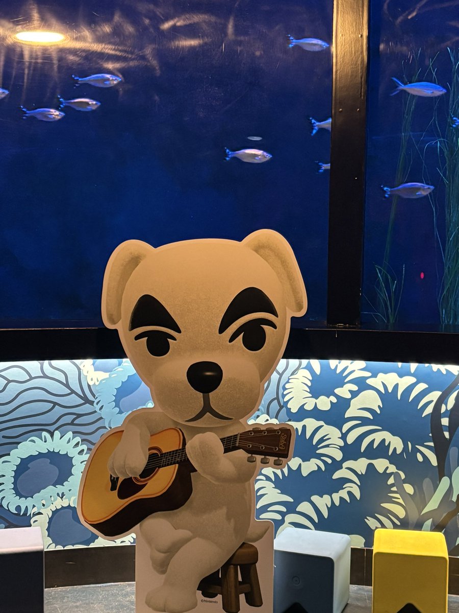 かれん☁️ tweet media