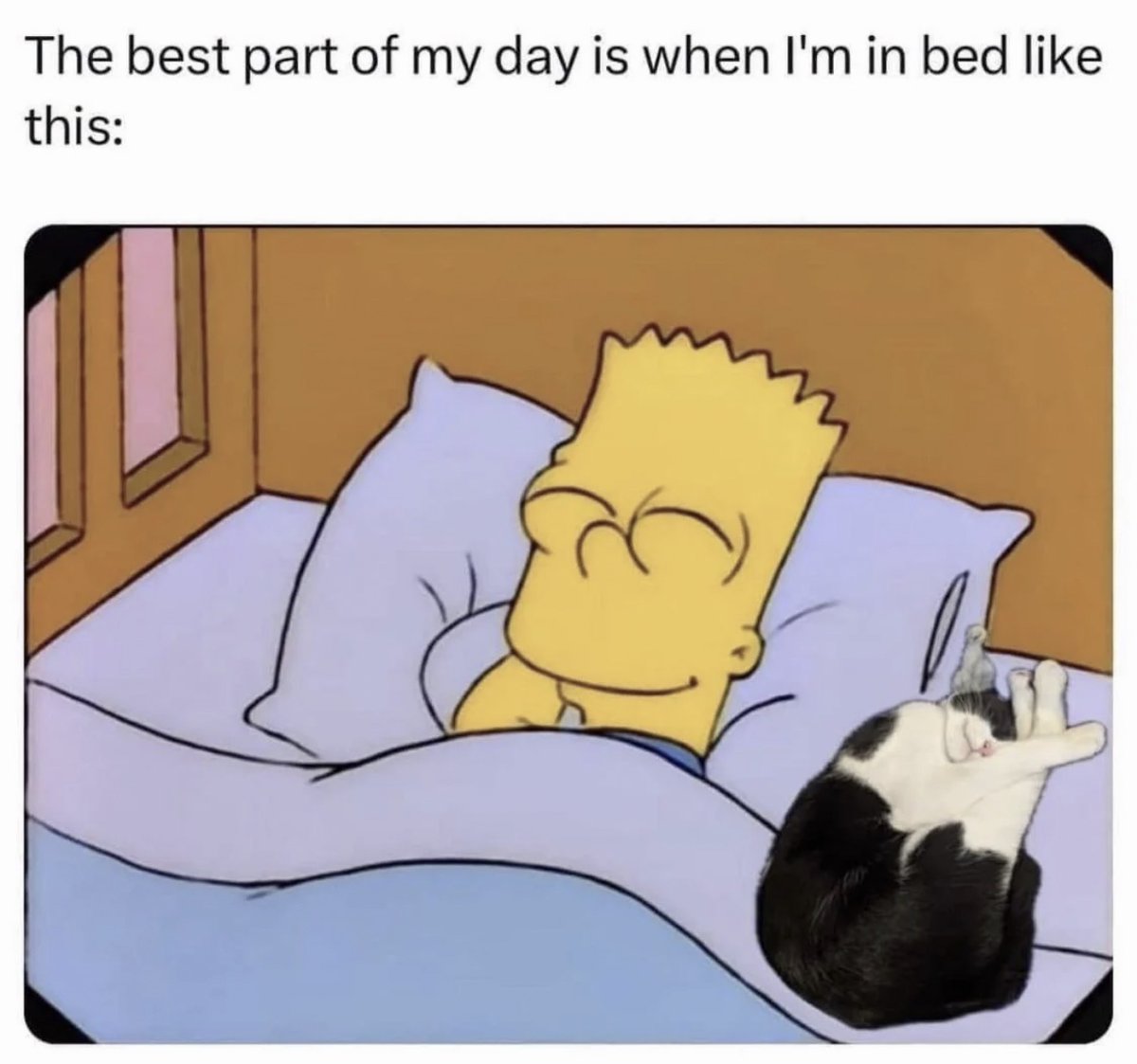 Antidepressant Content tweet media