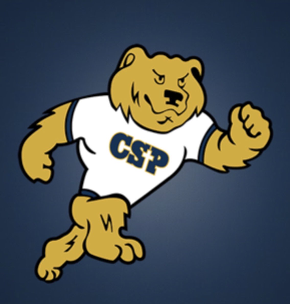 Matthew Babatz tweet media