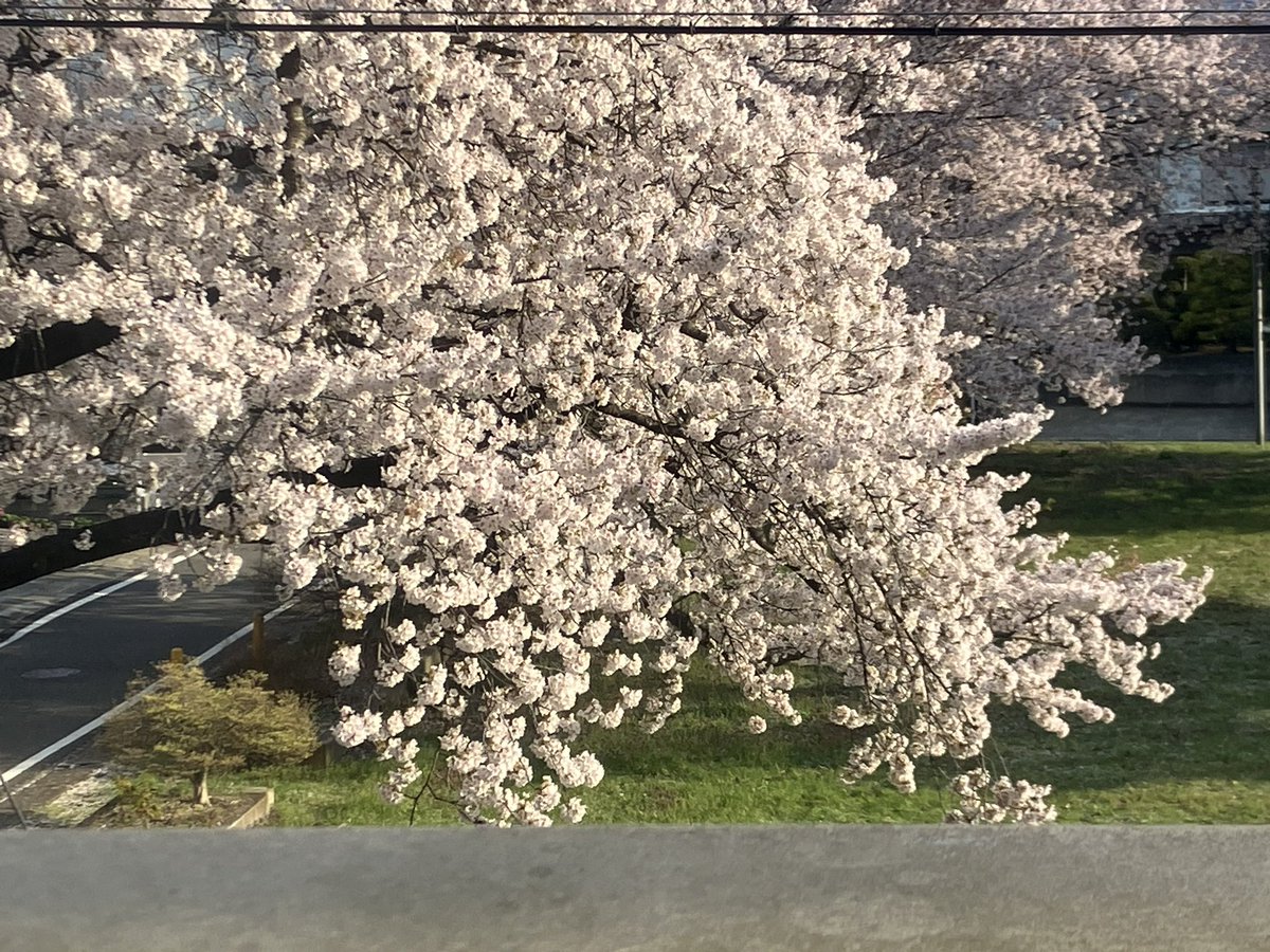 バネ : 勝仙 tweet media