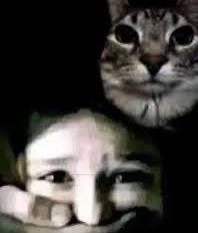 dark. 🇩🇪🦋_ tweet media