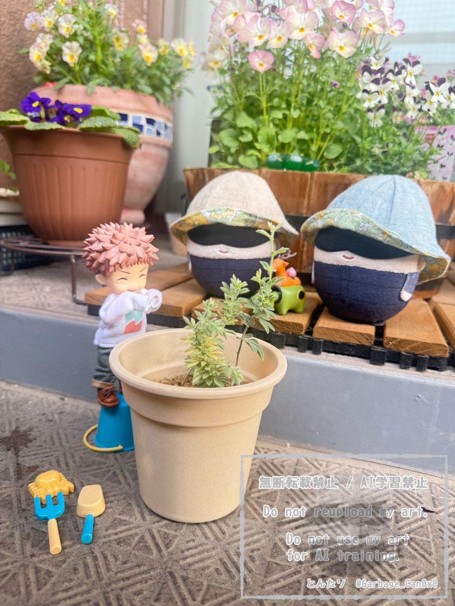 とんたソ tweet media