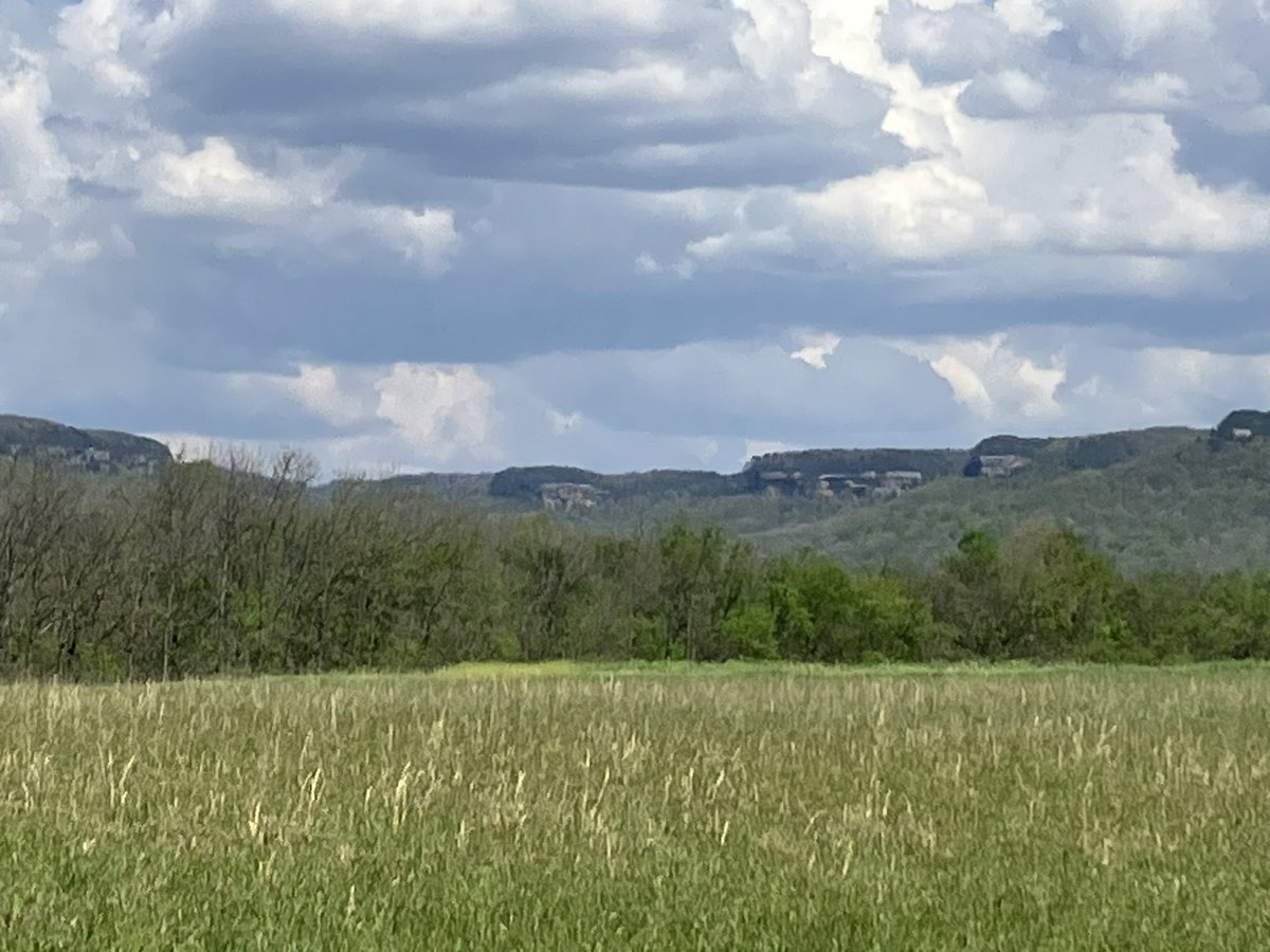 plentyofleeway tweet media