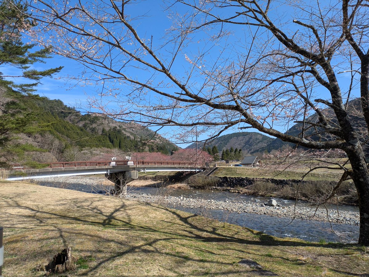 きゅうべえ@SSTR2026平日出ますぞ tweet media