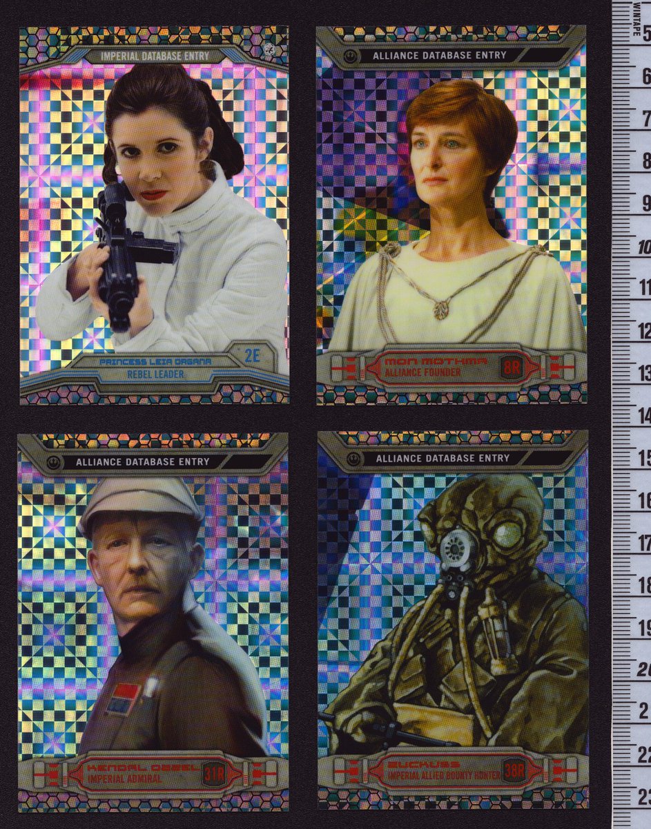 Collectosaurus tweet media