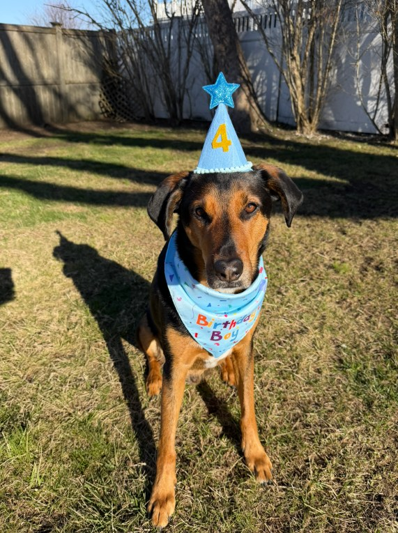 ThisBarbara tweet media