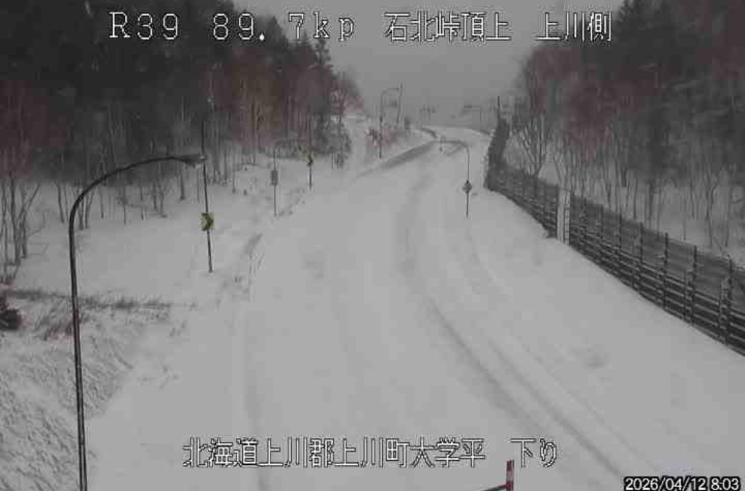 札幌暮らし（北海道グルメと札幌イベント）❄ tweet media