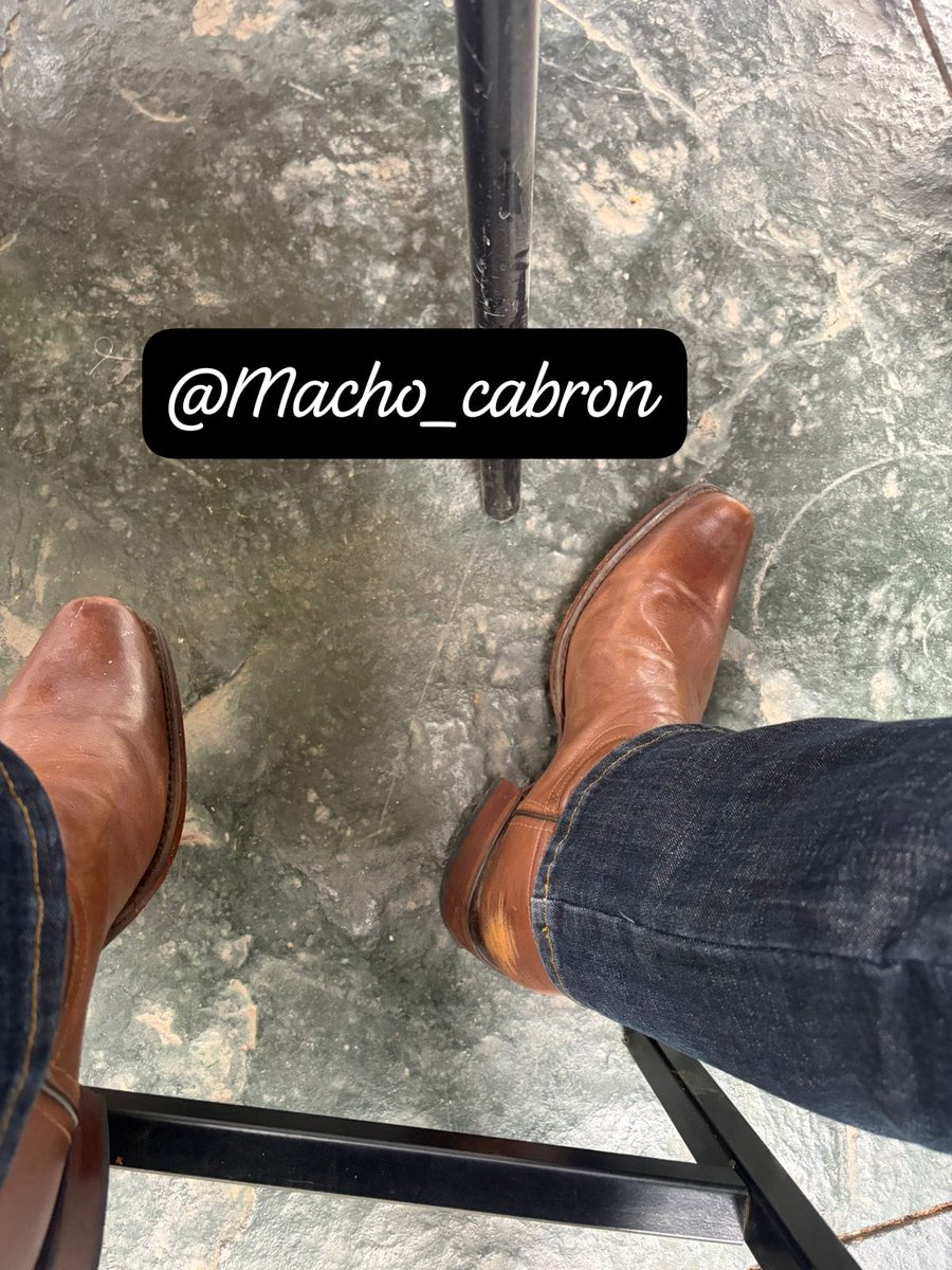 MACHO DOMINANTE tweet media