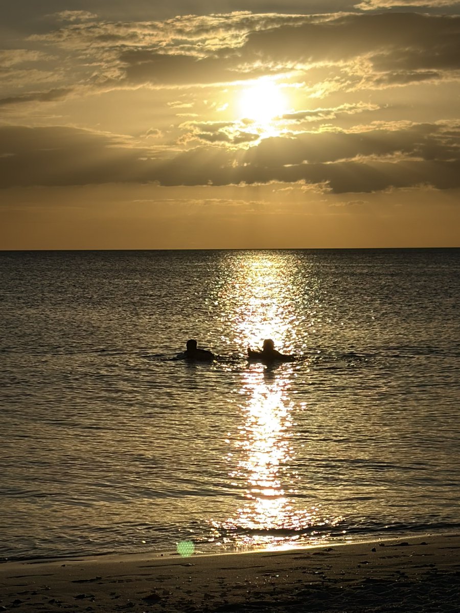 Joe Borelli tweet media