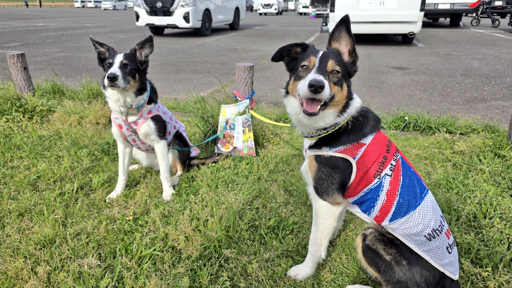 ダーさん tweet media