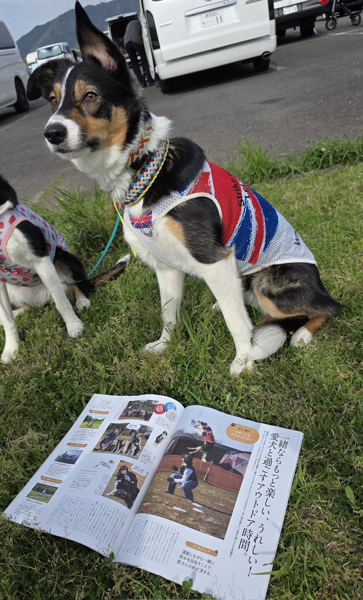 ダーさん tweet media